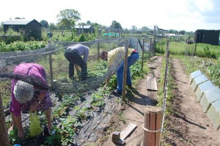 Eating Great Britain, Part I: Gardening Image
